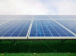 Fotovoltaico su terreni agricoli