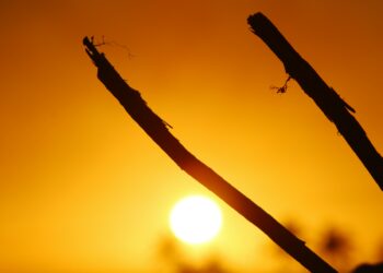 limite di 1,5 gradi di riscaldamento globale