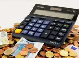 budget fai da te