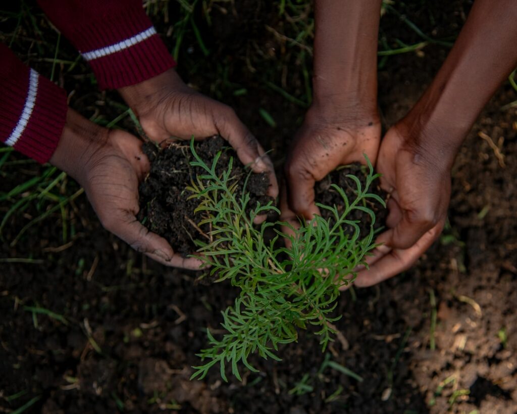 Biodiversità: il segreto invisibile sotto i nostri piedi