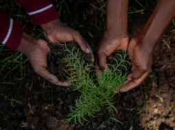 Biodiversità: il segreto invisibile sotto i nostri piedi