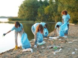 Gestione delle spiagge e contaminazione costiera: cosa ci dice il 2025