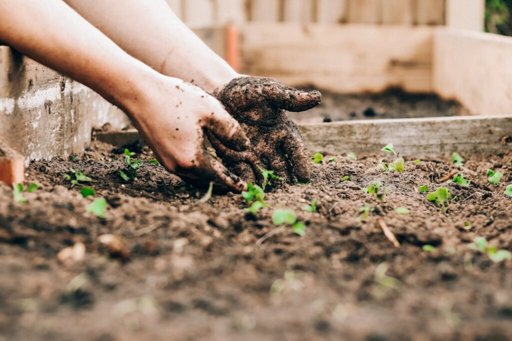 Giardinaggio domestico e coltivazione sostenibile: cosa dice la ricerca internazionale