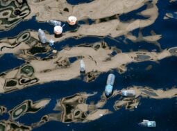 Microplastiche, il problema che non si vede: cosa dicono davvero i dati globali