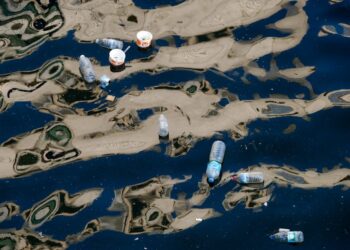 Microplastiche, il problema che non si vede: cosa dicono davvero i dati globali