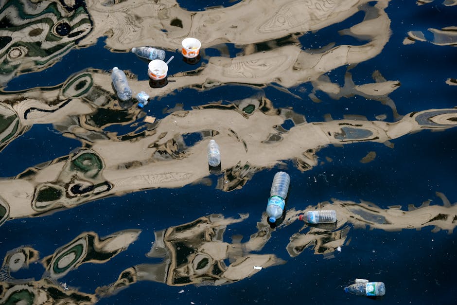 Microplastiche, il problema che non si vede: cosa dicono davvero i dati globali