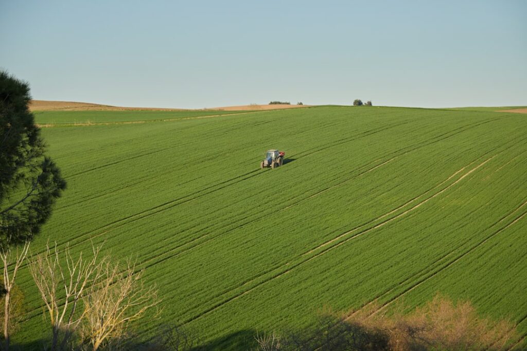 Sperimentazione agricola universitaria: quando i campus diventano laboratori verdi
