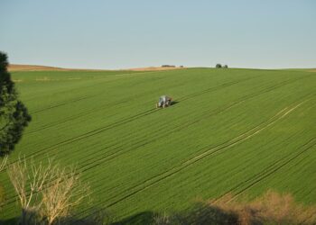Sperimentazione agricola universitaria: quando i campus diventano laboratori verdi