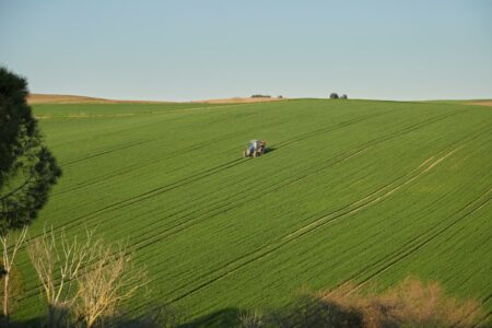 Sperimentazione agricola universitaria: quando i campus diventano laboratori verdi