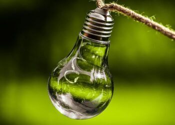 Come stanno cambiando le abitudini degli italiani tra energia e sostenibilità