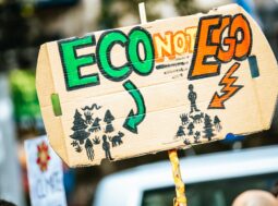 Mobilità elettrica nel 2026: tra record, frenate politiche e nuove regole sulla sicurezza