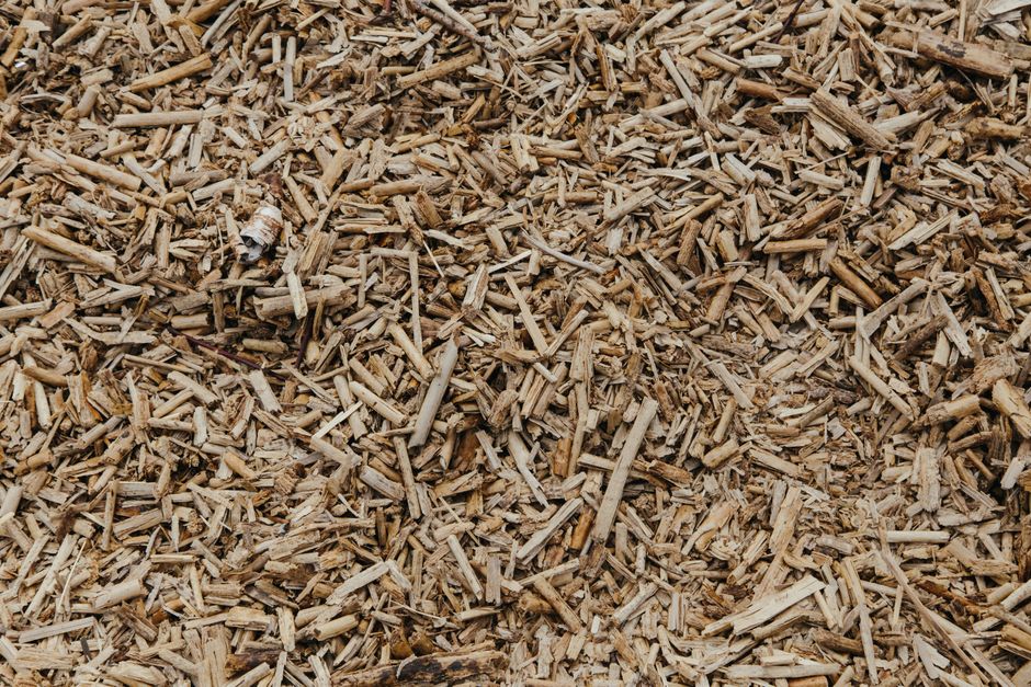 Bioenergie e biomasse, il paradosso della prima rinnovabile europea