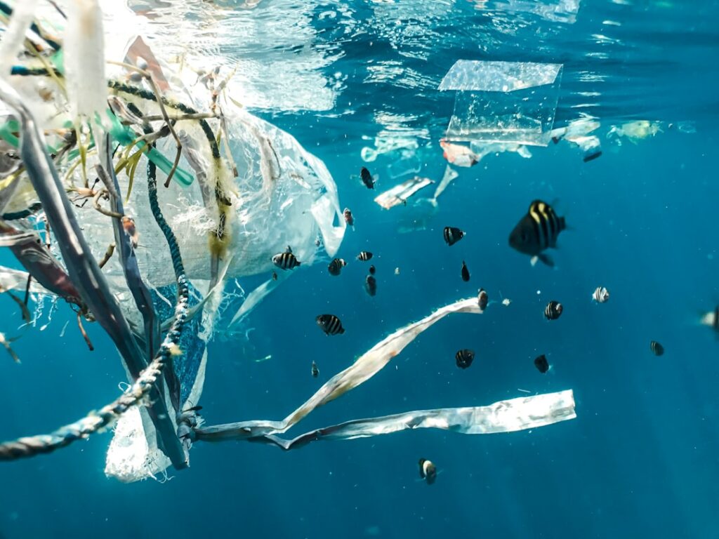 Inquinamento marino da plastica: la crisi che il mondo non riesce a fermare