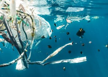 Inquinamento marino da plastica: la crisi che il mondo non riesce a fermare