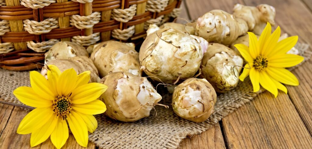 Topinambur con cestino di vimini e fiori gialli su tela di juta