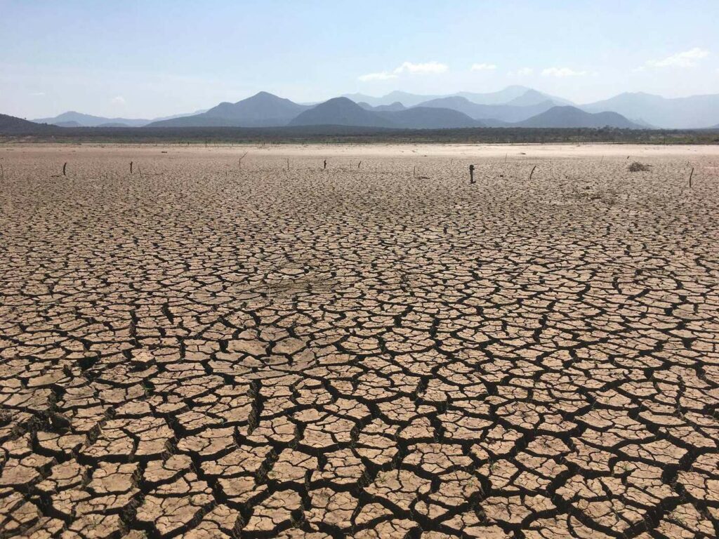 Terra screpolata dalla siccità in un'area a rischio desertificazione