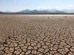 Terra screpolata dalla siccità in un'area a rischio desertificazione