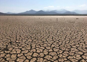 Terra screpolata dalla siccità in un'area a rischio desertificazione