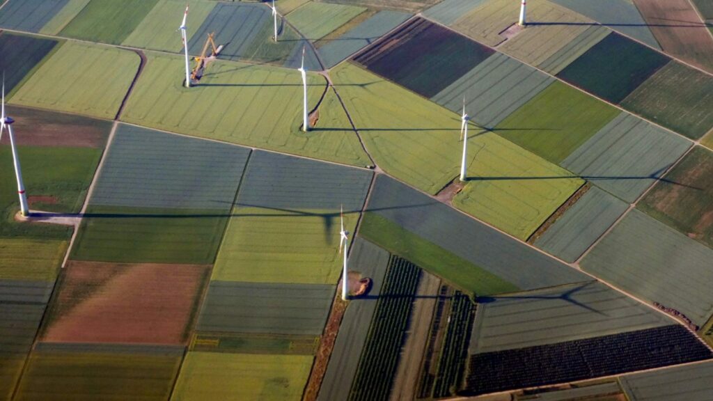 Campo diviso tra erba verde e zona arida visto dall'alto