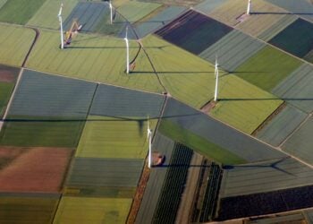 Campo diviso tra erba verde e zona arida visto dall'alto