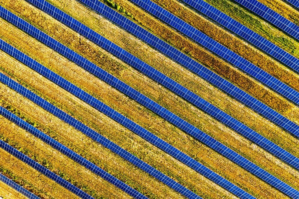 Vista aerea di un campo agrivoltaico con file di pannelli solari