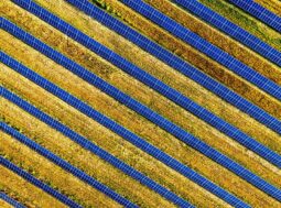 Vista aerea di un campo agrivoltaico con file di pannelli solari