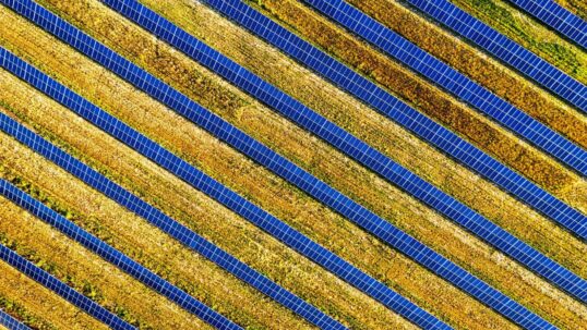 Vista aerea di un campo agrivoltaico con file di pannelli solari