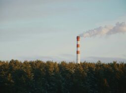 Una ciminiera industriale fuma dietro un bosco: le emissioni che i crediti di carbonio promettono di compensare