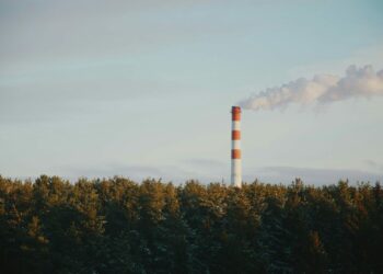 Una ciminiera industriale fuma dietro un bosco: le emissioni che i crediti di carbonio promettono di compensare