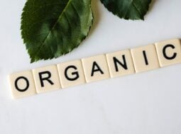 Greenwashing: la parola ORGANIC composta con tessere accanto a una foglia verde