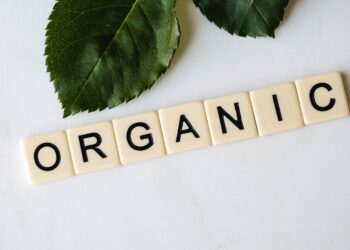 Greenwashing: la parola ORGANIC composta con tessere accanto a una foglia verde